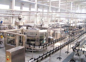 上海玄純機械設備 專業驅動，匠心筑造工業未來